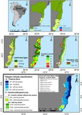 Future spatial modeling of vegetation in the Central Atlantic Forest Corridor, Brazil